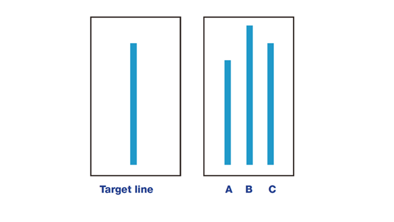 Asch experiment lines